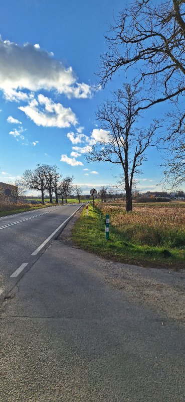 Grunt inwestycyjny 1,52ha Wiązów, znakomita ekspozycja i komunikacja - 02 Grunt inwestycyjny 1,52ha Wiązów, znakomita ekspozycja i komunikacja - 02