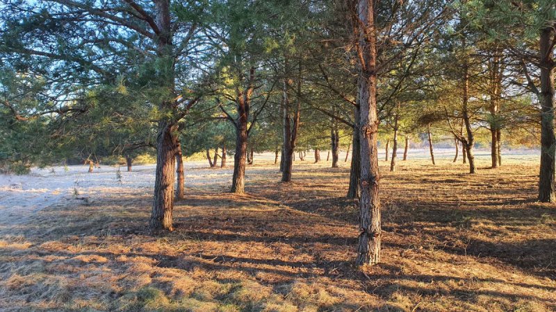 Działki nad rzeką, inwestycja/wypoczynek, JuraPark - 01 Działki nad rzeką, inwestycja/wypoczynek, JuraPark - 01