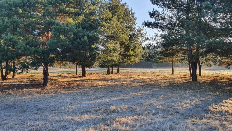 Działki nad rzeką, inwestycja/wypoczynek, JuraPark - 03 Działki nad rzeką, inwestycja/wypoczynek, JuraPark - 03