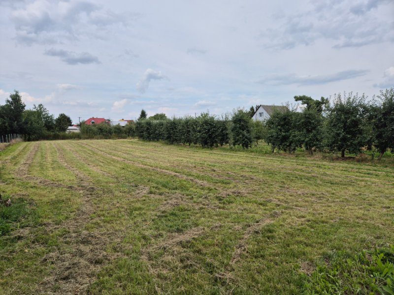 Inwestycja w powstanie innowacyjnej tłoczni soków - 02 Inwestycja w powstanie innowacyjnej tłoczni soków - 02