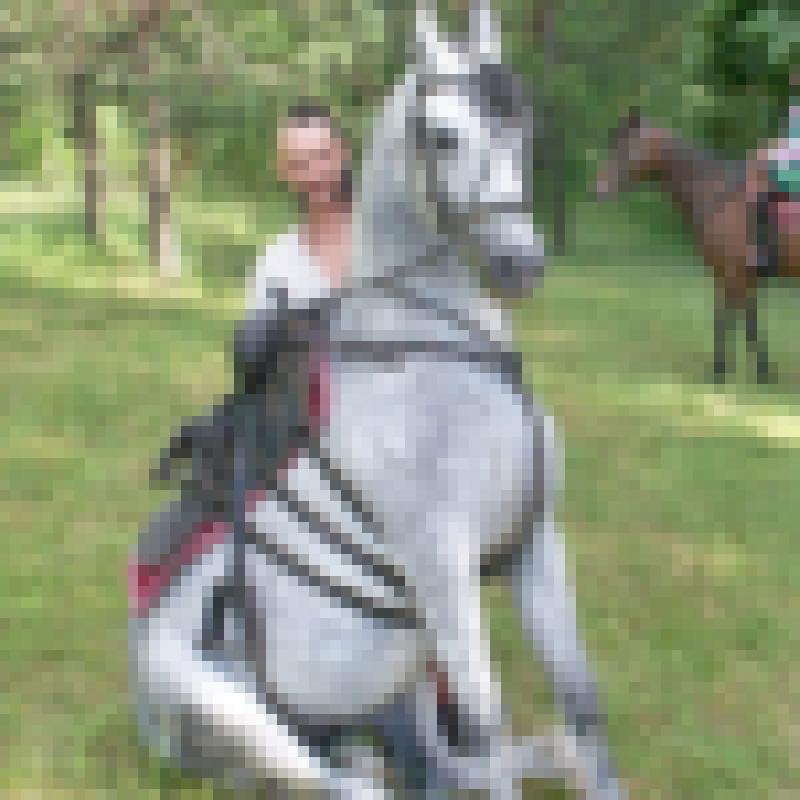 Ukraina. Sprzedam miod 6 zl/kg z gospodarstwa pszczelarskiego - 01