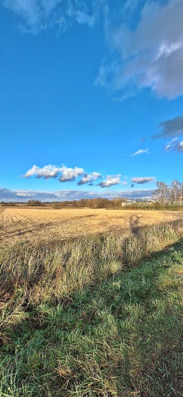 Grunt inwestycyjny 1,52ha Wiązów, znakomita ekspozycja i komunikacja
