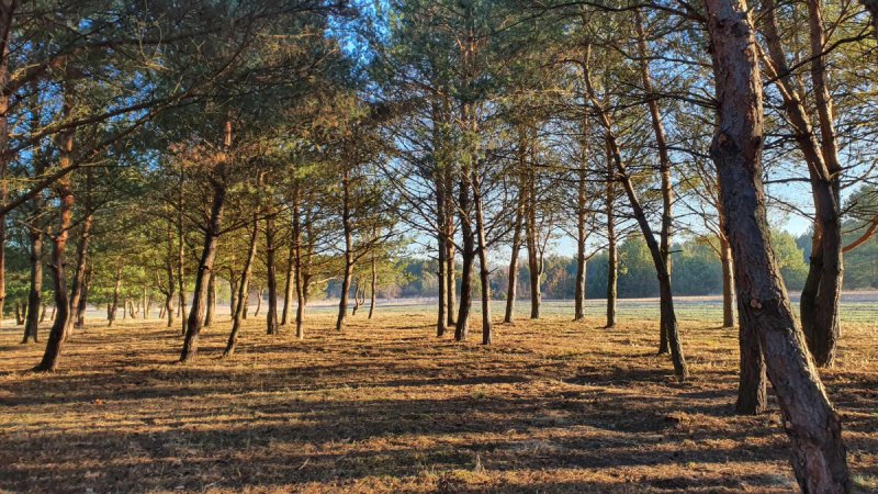 Działki nad rzeką, inwestycja/wypoczynek, JuraPark