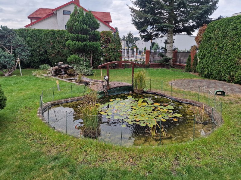 Nieruchomość z działającym zakładem produkcyjnym - 03