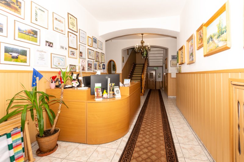 Prosperujący pensjonat na sprzedaż - 02