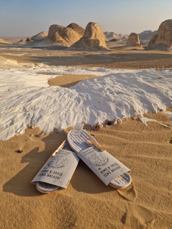 Szukam inwestora strategicznego do startupu - 02