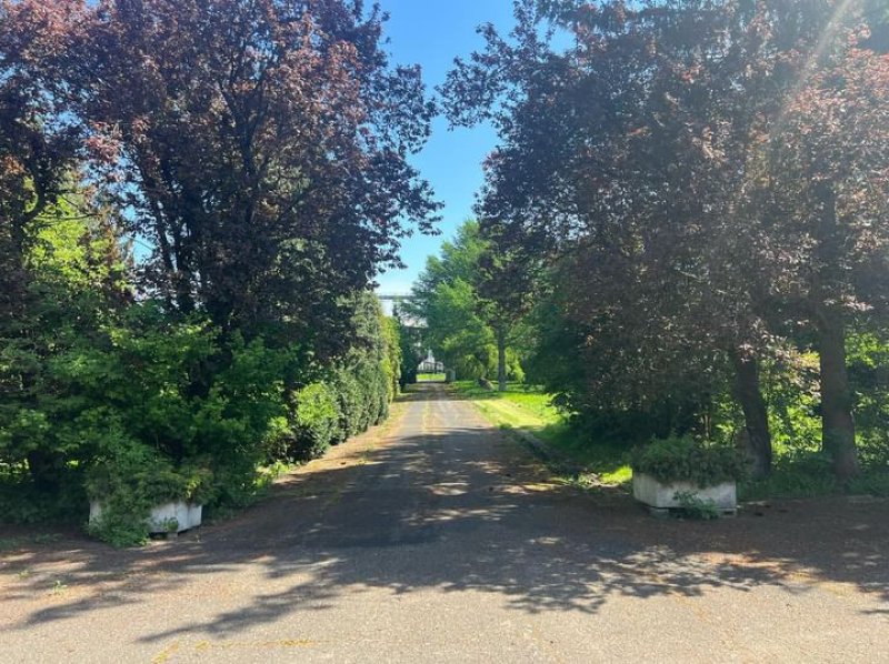 Pałac w Budzistowie - 01