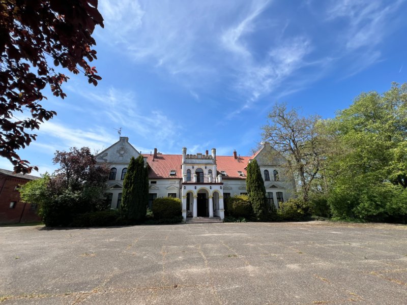 Pałac w Budzistowie - 02