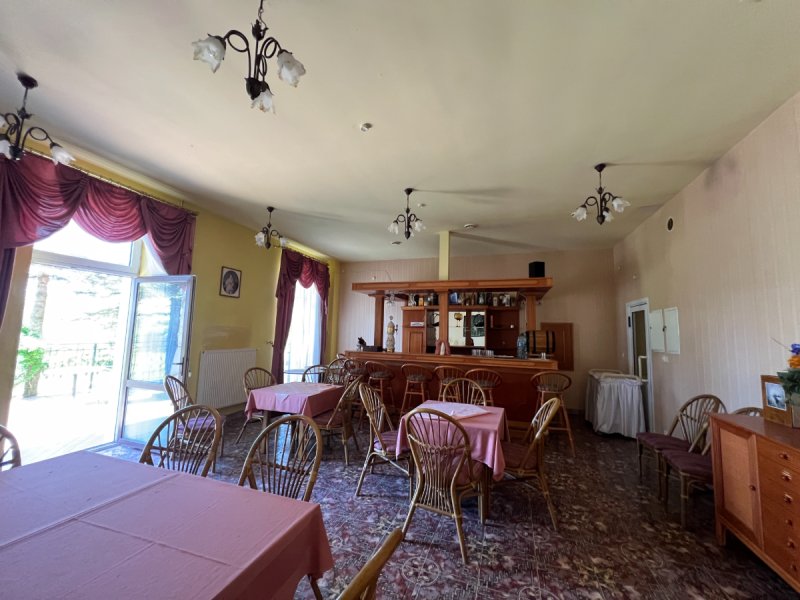 Pałac w Budzistowie - 05