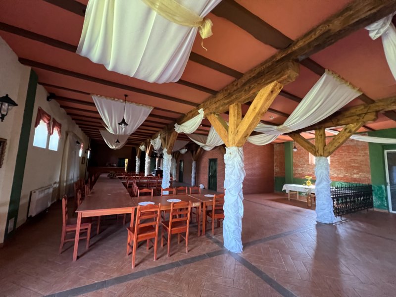 Pałac w Budzistowie - 07