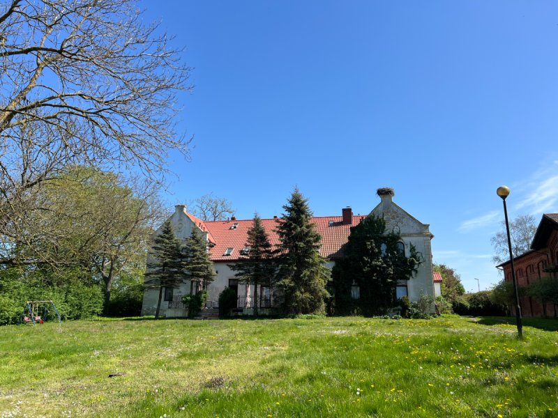 Pałac w Budzistowie - 08