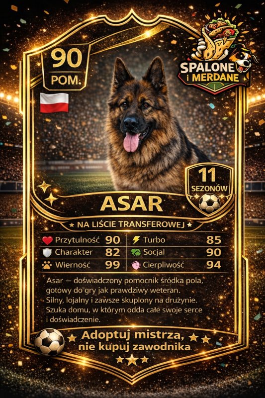 Spalone i Merdane pierwszy taki koncept w Polsce! - 01