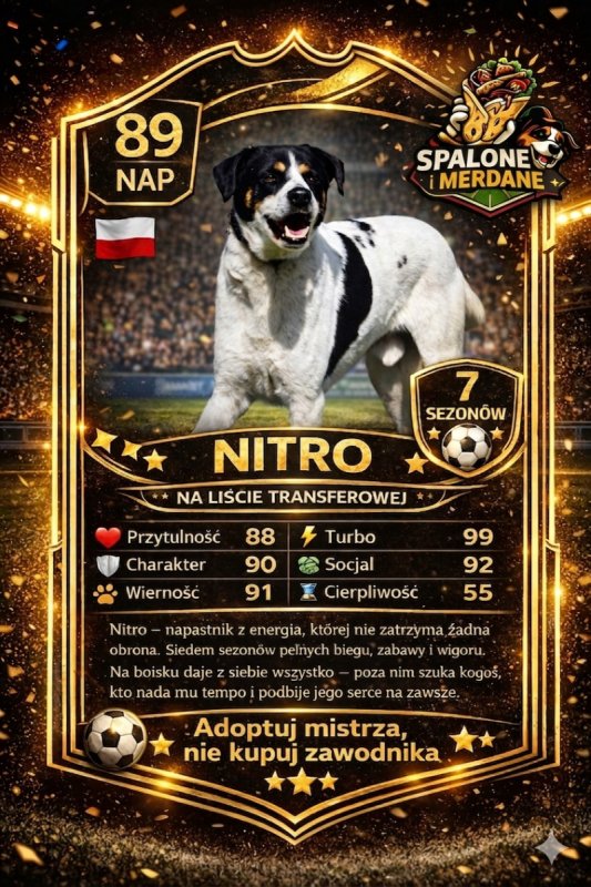 Spalone i Merdane pierwszy taki koncept w Polsce! - 02