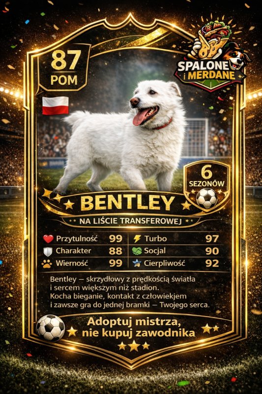 Spalone i Merdane pierwszy taki koncept w Polsce! - 03