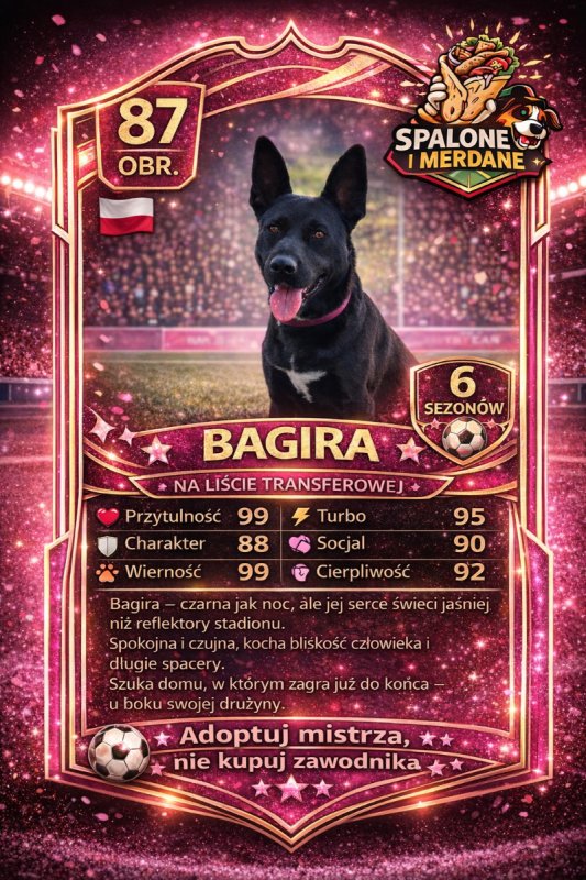 Spalone i Merdane pierwszy taki koncept w Polsce! - 04