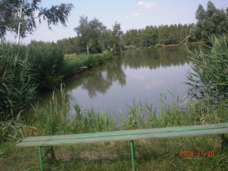 Łowisko oraz kąpielisko w miejscowości Bogatynia - 01